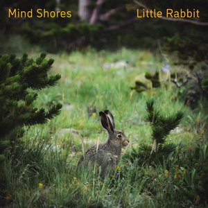 大鸡巴肏屄乱伦小黄片
