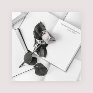 大鸡巴肏屄乱伦小黄片
